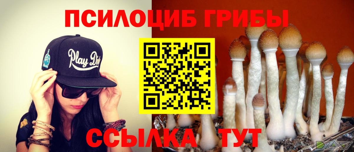 Псилоцибиновые грибы прущие грибы Кумертау