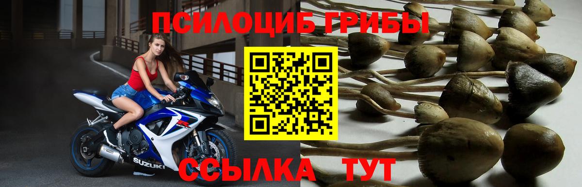 Кумертау  МЕФ кристаллы  ГАШ  Вход с VPN  Cocaine  Цена  Конопля 